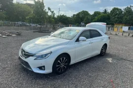 2015 Toyota Mark X 250g Premium