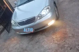 2004 altis