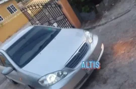 2004 altis