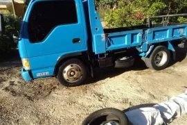 2004 Isuzu elf