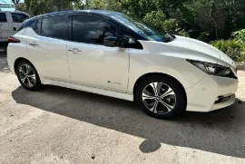 Nissan Leaf 2019